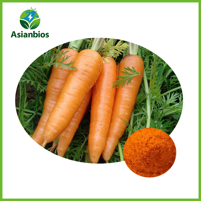 dried carrot powder